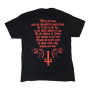 Marduk - Demon With Wings t-shirt