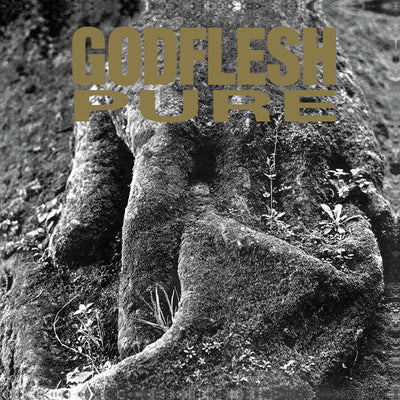 Godflesh - Pure 12”